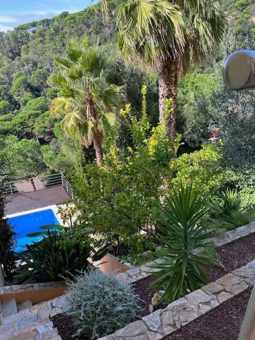 The 3 Singing Palms Villa